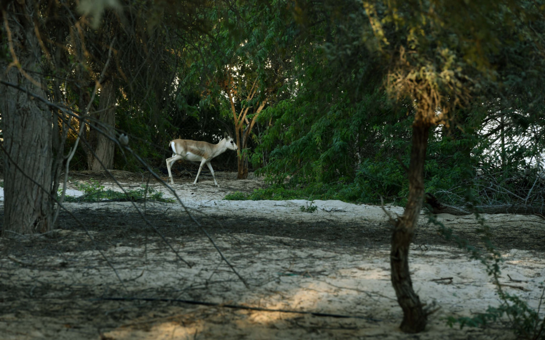 Abu Dhabi’s property market gets first taste of post-handover payments